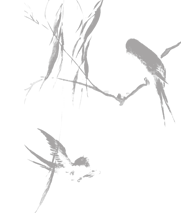 indeximg8(1).png